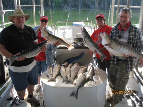 Nice Striped Bass